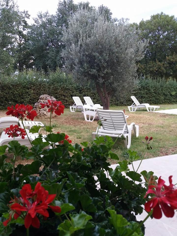 Pansion Oliva Hotel Krnica Luaran gambar