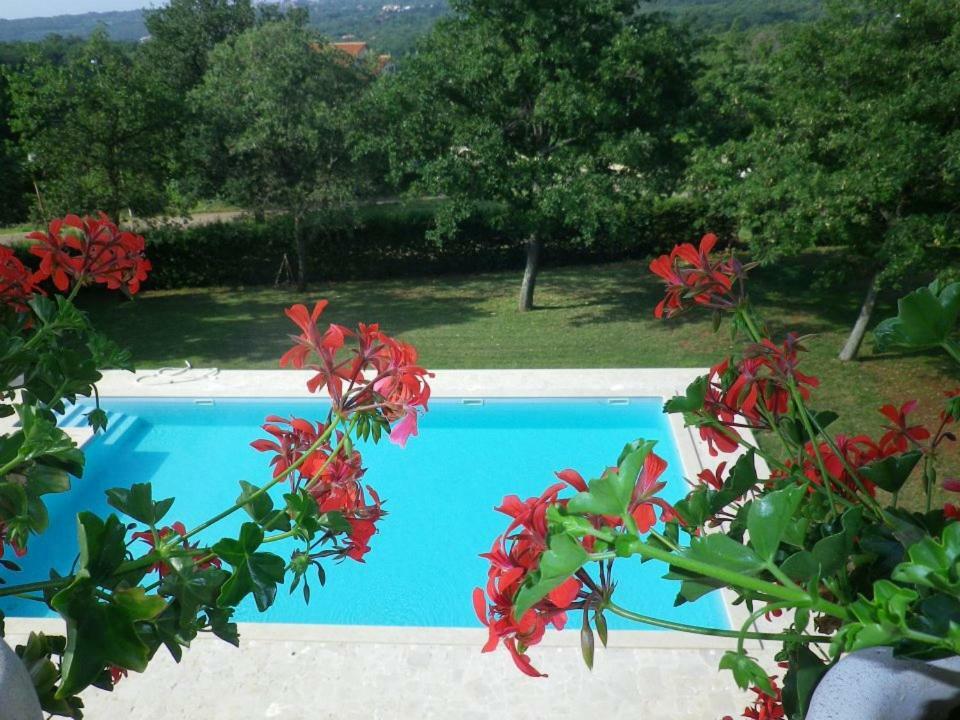Pansion Oliva Hotel Krnica Luaran gambar